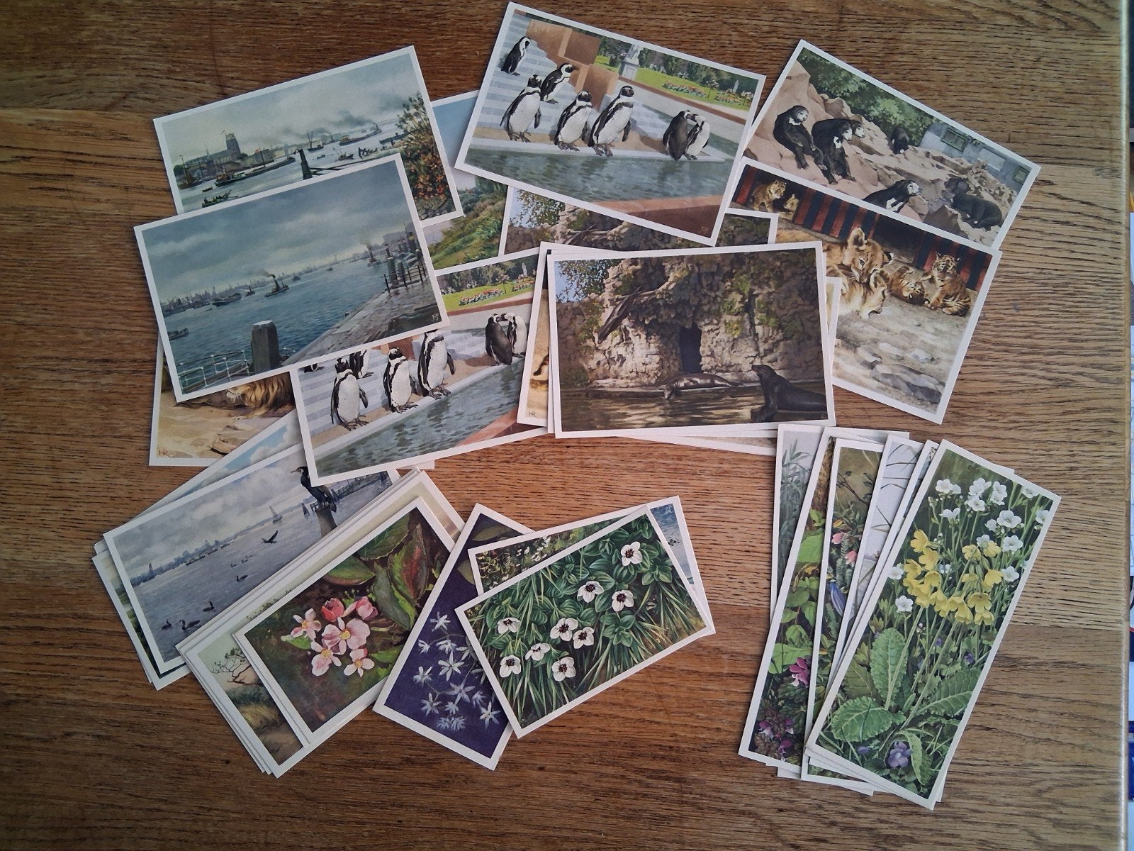 Verkade plaatjes.  32 stuks, Ophalen of Verzenden, Voor 1940, Gebruikt