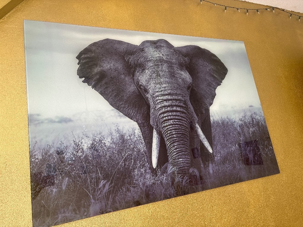 Foto op glas, Huis en Inrichting, Woonaccessoires | Schilderijen, Tekeningen en Foto's, Ophalen, Zo goed als nieuw, 100 tot 125 cm