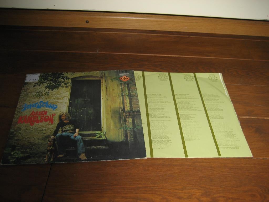 70s peter schaap lp, Cd's en Dvd's, Vinyl | Nederlandstalig, Ophalen of Verzenden, Zo goed als nieuw, 12 inch, Streekmuziek