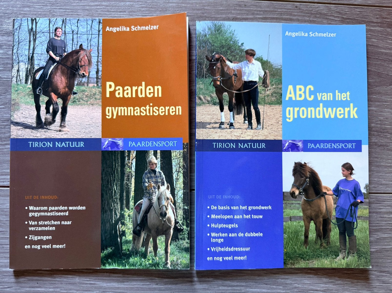Set van 2 paardenboeken-ABC van het grondwerk & Paarden gymn, Ophalen of Verzenden, Zo goed als nieuw, Paarden of Pony's