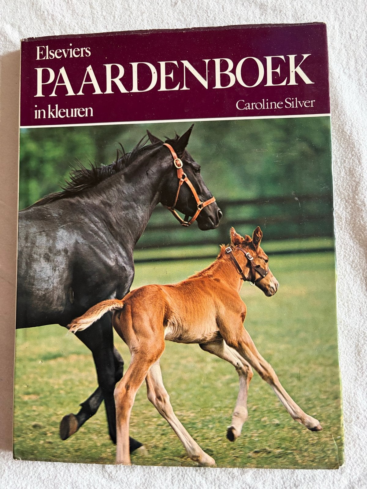 Elseviers Paardenboek in kleuren - Caroline Silver, Ophalen of Verzenden, Gelezen, Overige onderwerpen