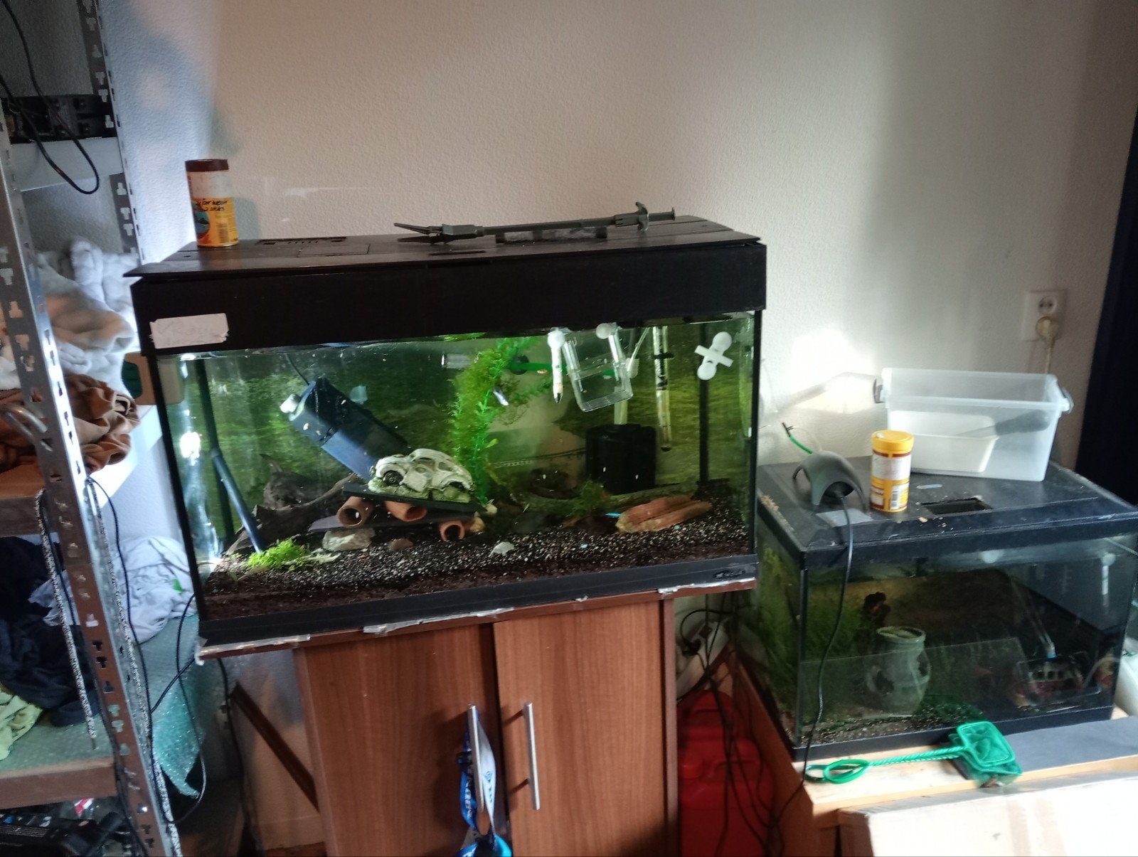 gezocht aquarium planten en vissen., Ophalen, Gebruikt, Overige typen, Overige merken