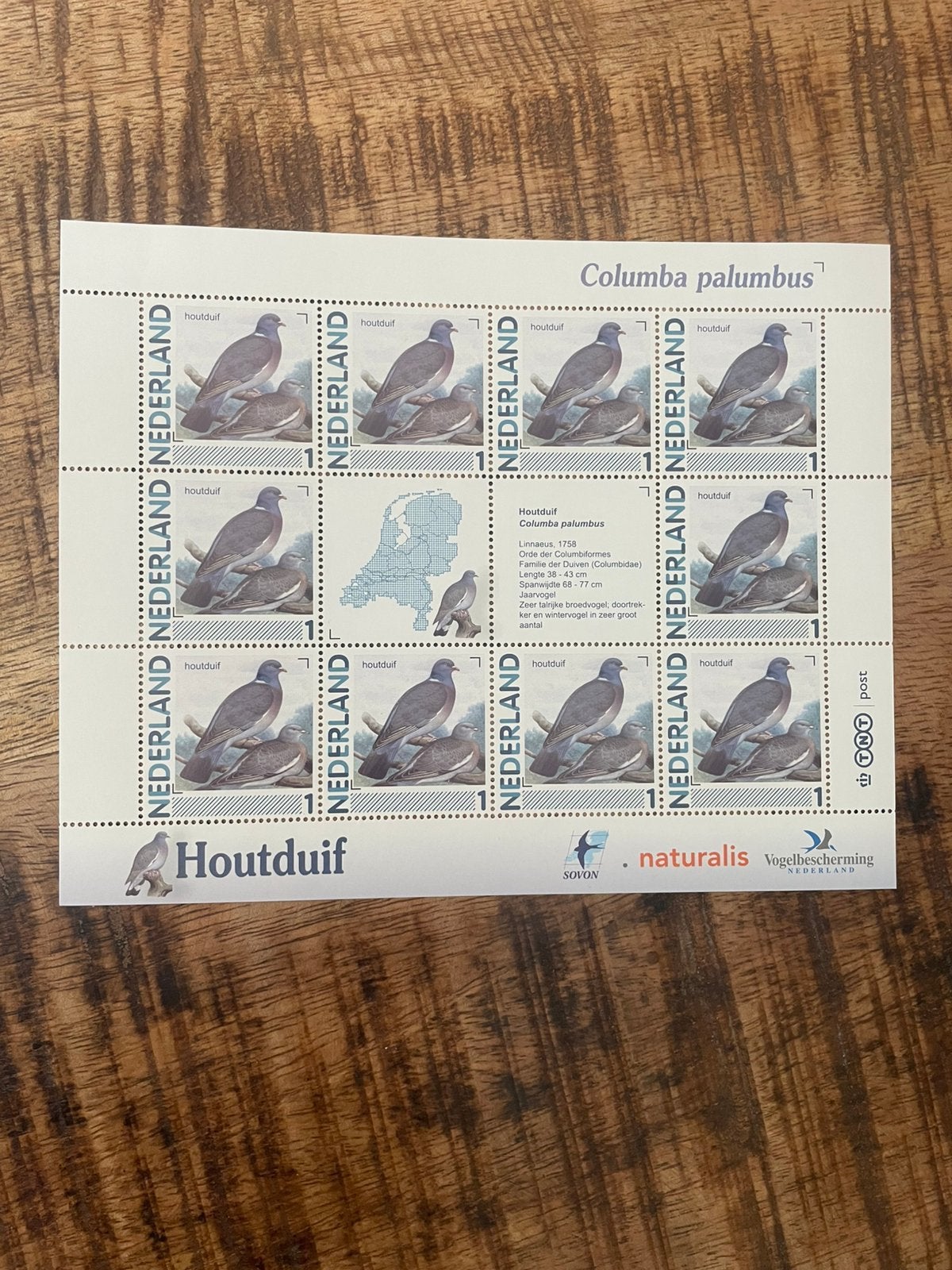 Vel Persoonlijke Postzegels Vogels in Ned Houtduif.Postfris, Postzegels en Munten, Postzegels | Nederland, Ophalen of Verzenden