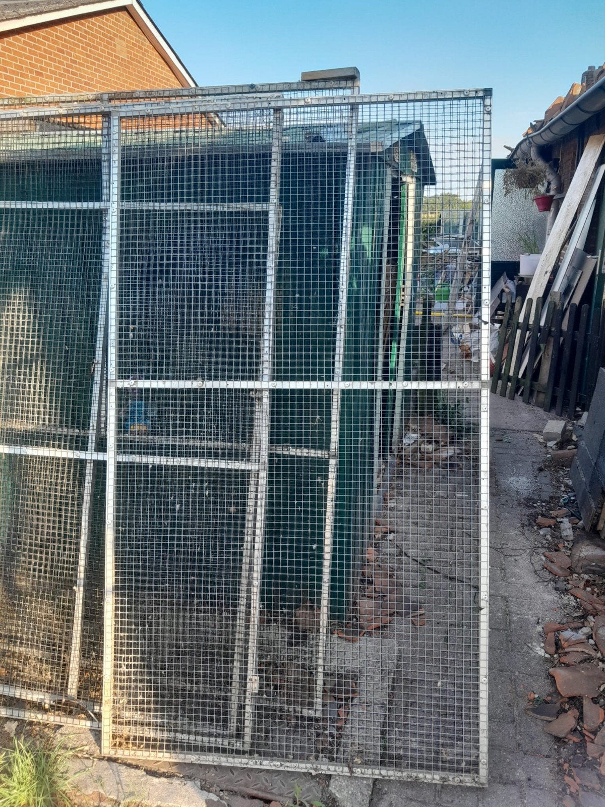 5 panelen dubbel gaas    1bgaaspaneel    1 deur, Mannelijk, Papegaai