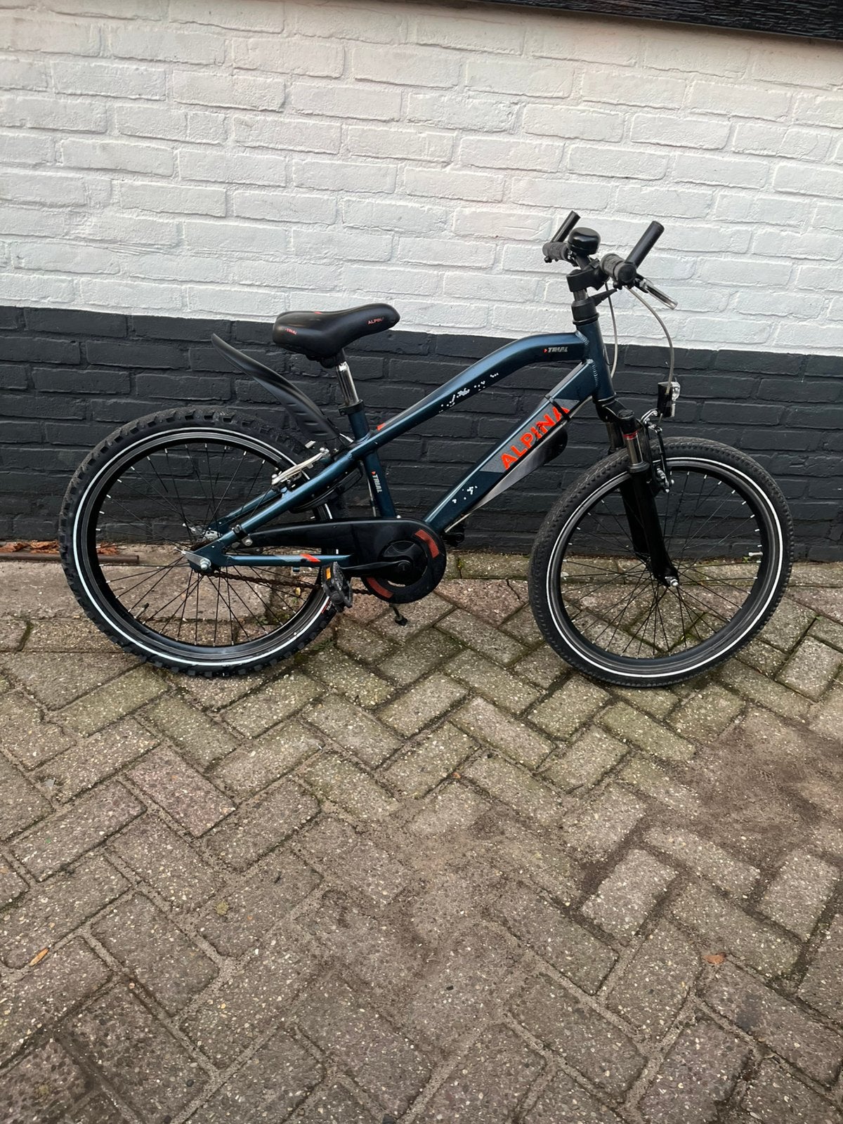 Nette goede 22 inch Alpina Trial, Ophalen, Terugtraprem, 22 inch, Gebruikt