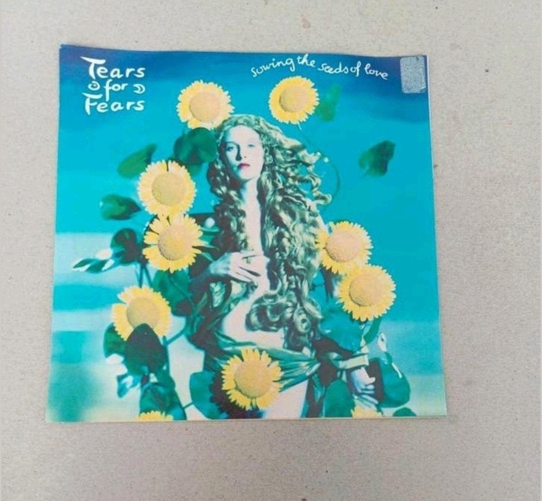 Tears For Fears  - Sowing The Seeds Of Love, Cd's en Dvd's, Gebruikt, 7 inch, Ophalen of Verzenden, Pop