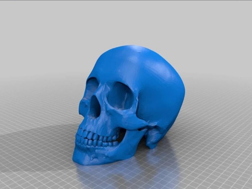 Zwarte 3D Doodskop Decoratie, Ophalen of Verzenden, Nieuw
