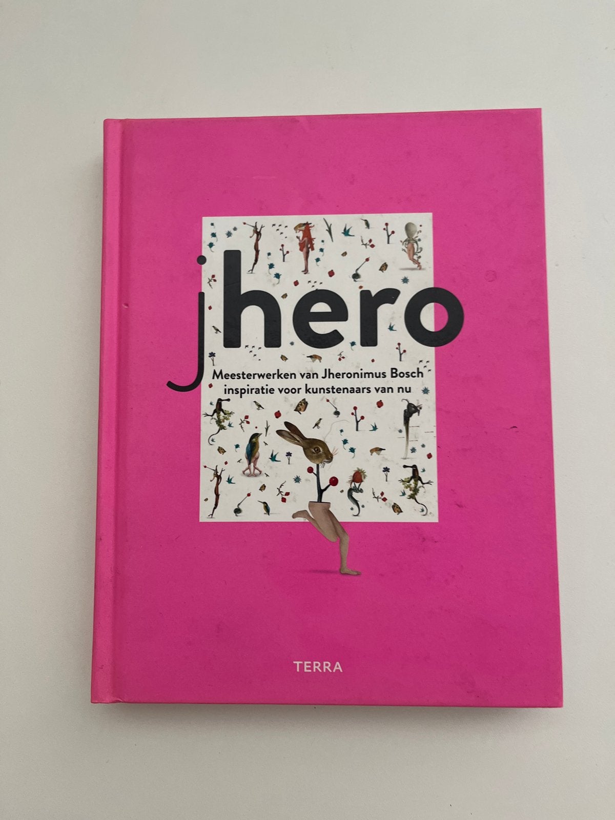 Jhero: Meesterwerken van Jheronimus Bosch inspiratie, Ophalen, Zo goed als nieuw, Schilder- en Tekenkunst