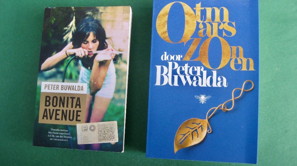 2 boeken Peter Buwalda, Ophalen of Verzenden, Zo goed als nieuw, Nederland