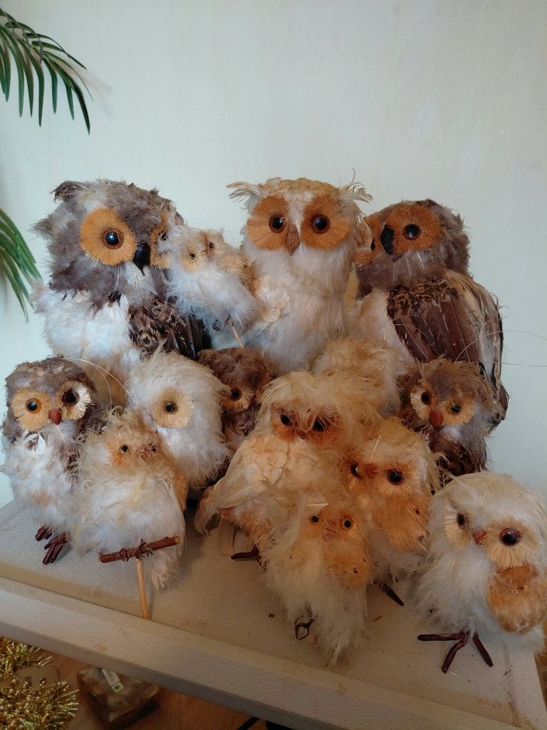 Kerst, uiltjes voor decoratie, Ophalen, Gebruikt, Wanddecoratie