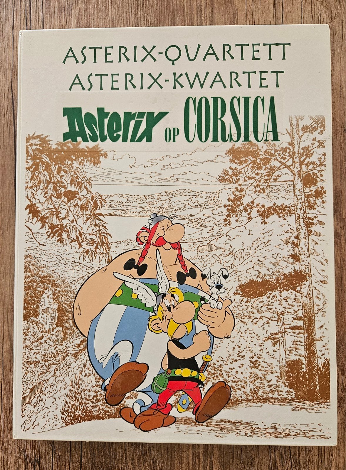 Asterix Kwartetspel - Zo goed als nieuw, Verzamelen, Ophalen of Verzenden, Asterix en Obelix, Zo goed als nieuw, Beeldje of Figuurtje