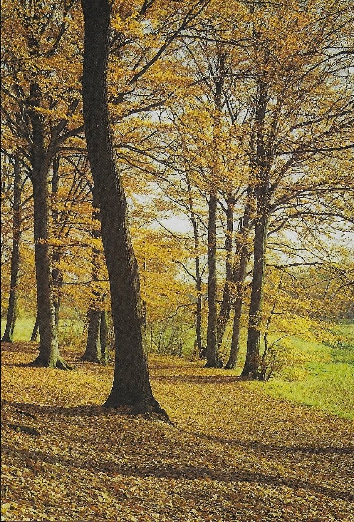 Q2620 Ongelopen ansichtkaart groeten uit west brabant, Ophalen of Verzenden, 1980 tot heden, Ongelopen, Noord-Brabant