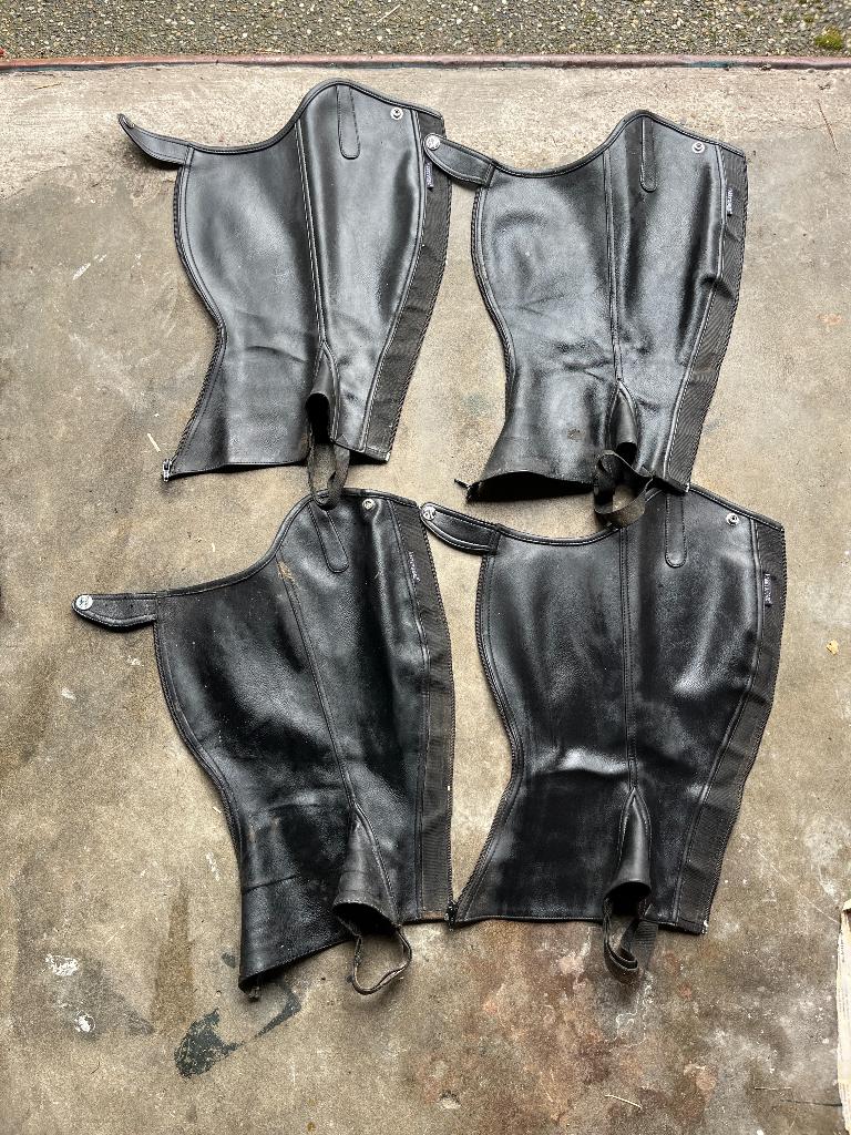 Harry's Horse Chaps, 4 x alleen de linker, Dieren en Toebehoren, Ophalen of Verzenden, Gebruikt, Schoeisel