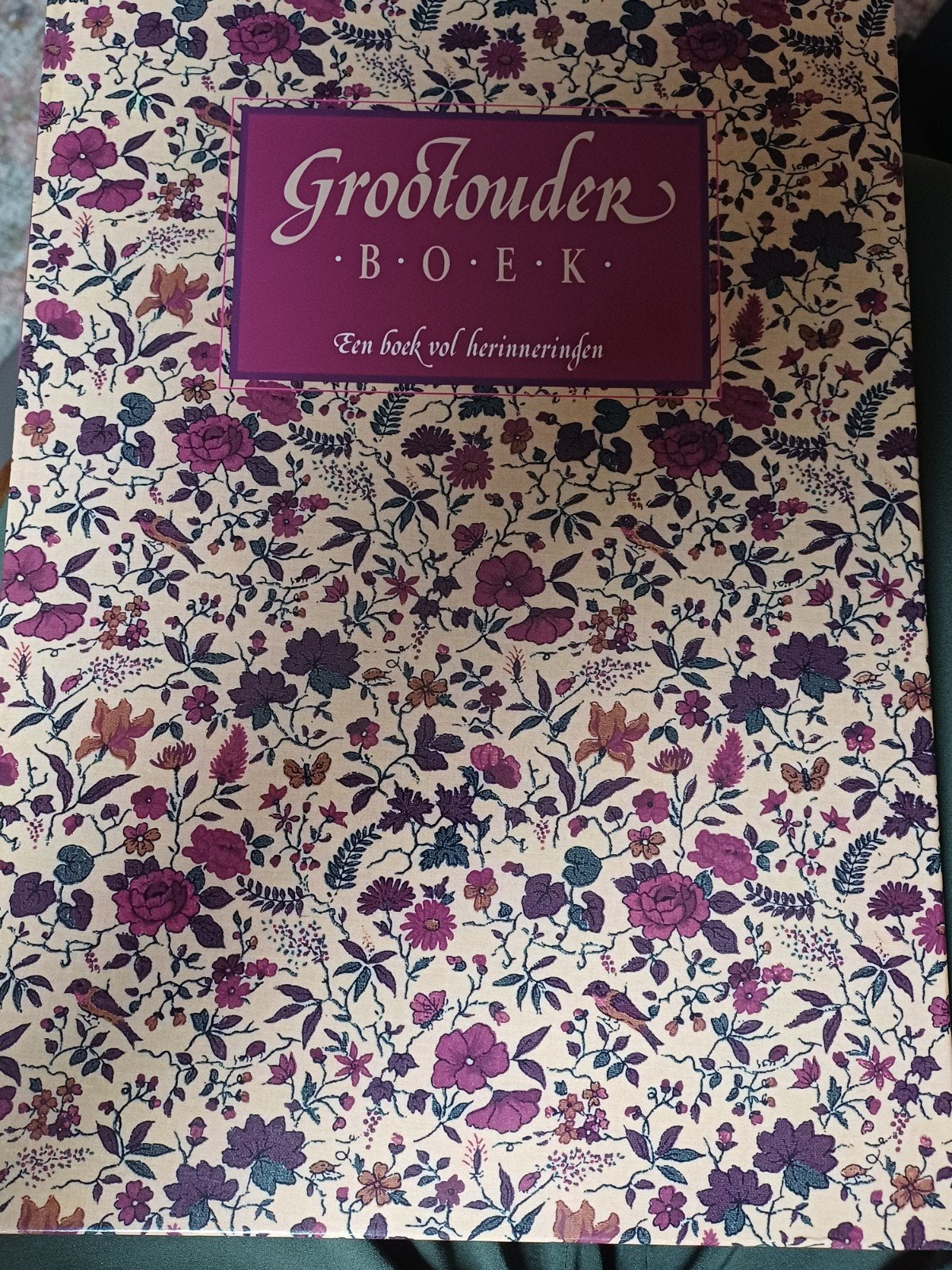 Grootouder Boek - Een boek vol herinneringen, Boeken, Ophalen of Verzenden, Nieuw