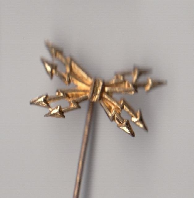 Gebundelde Bliksemstralen embleem speldje, Niet vindbaar, Niet vindbaar, Nederland, Embleem of Badge