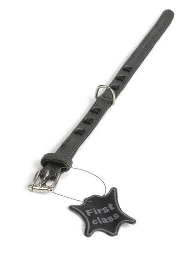 DOGGEAR-BEEZTEES Stud Leren Halsband Nekomtr 26-30 cm -35%!, Ophalen of Verzenden, Handgemaakt, Nieuw