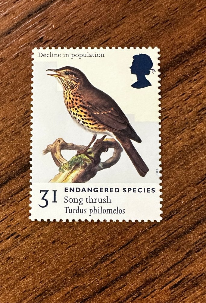 Groot-Brittannië 1998 Vogel Postfris - Zanglijster, Ophalen of Verzenden, Postfris