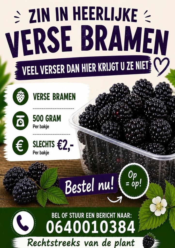 Heerlijke Verse Bramen - 500 gram per bakje, Ophalen of Verzenden