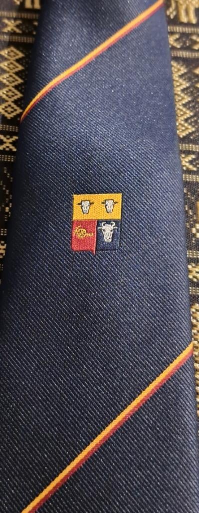 Heerde Gemeente Provincie Gelderland stropdas, Kleding | Heren, Stropdassen, Ophalen of Verzenden, Nieuw