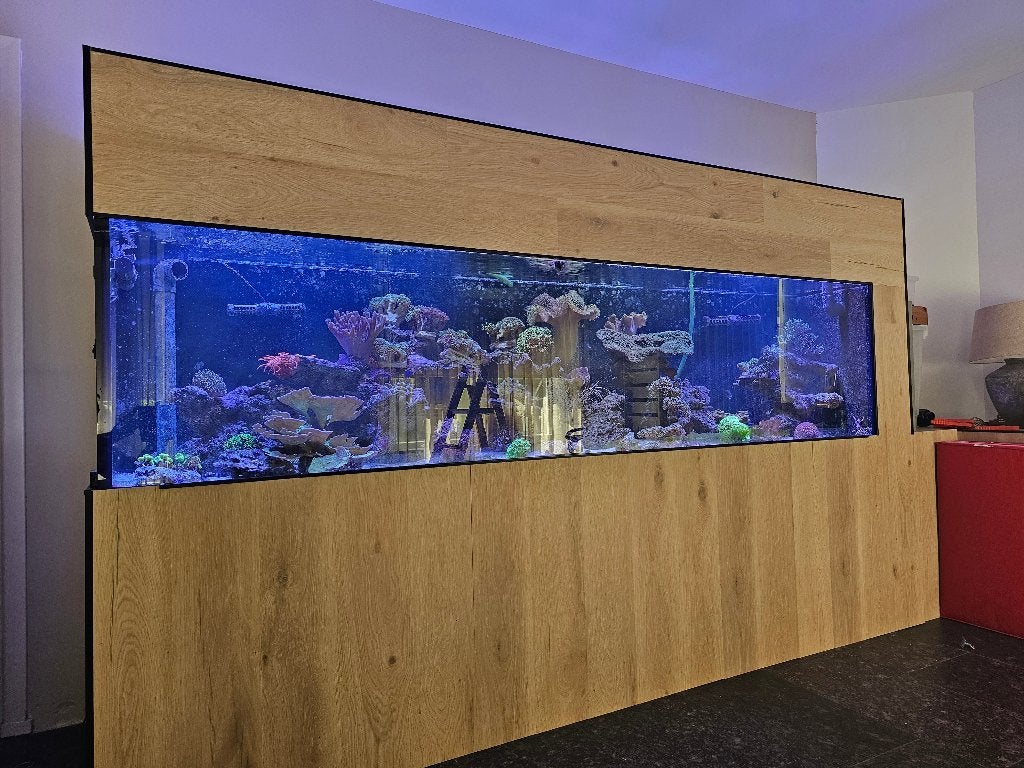 Zeeaquarium 300x70x70, Ophalen, Zo goed als nieuw, Gevuld zeewateraquarium