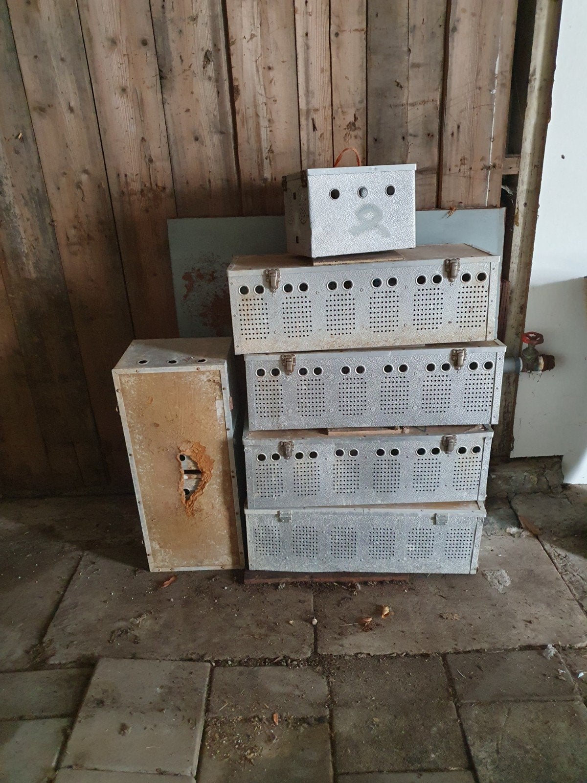 Duiven vervoer kooien / kisten., Dieren en Toebehoren, Ophalen, Gebruikt, Overige materialen, Overige typen