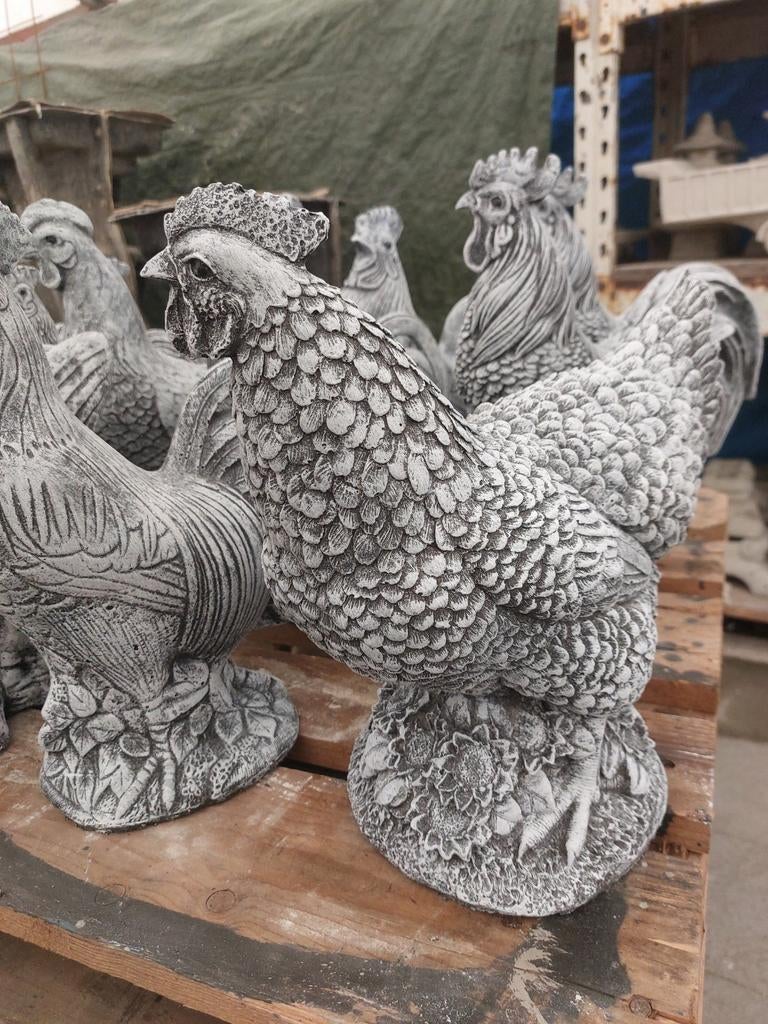 Kippen en Hanen, Ophalen, Nieuw, Beton, Dierenbeeld