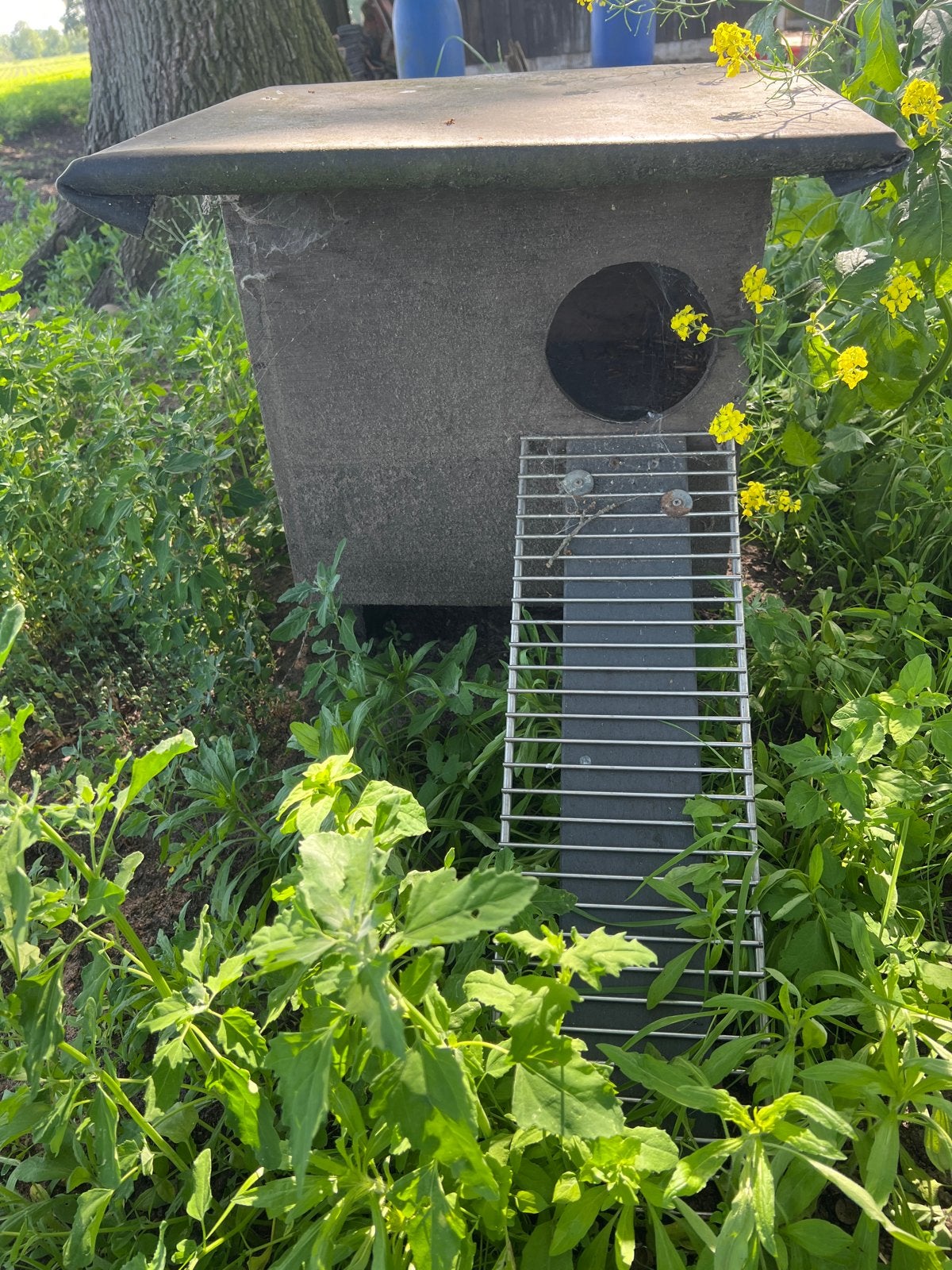 Nestkasten op poten, Dieren en Toebehoren, Ophalen, Gebruikt
