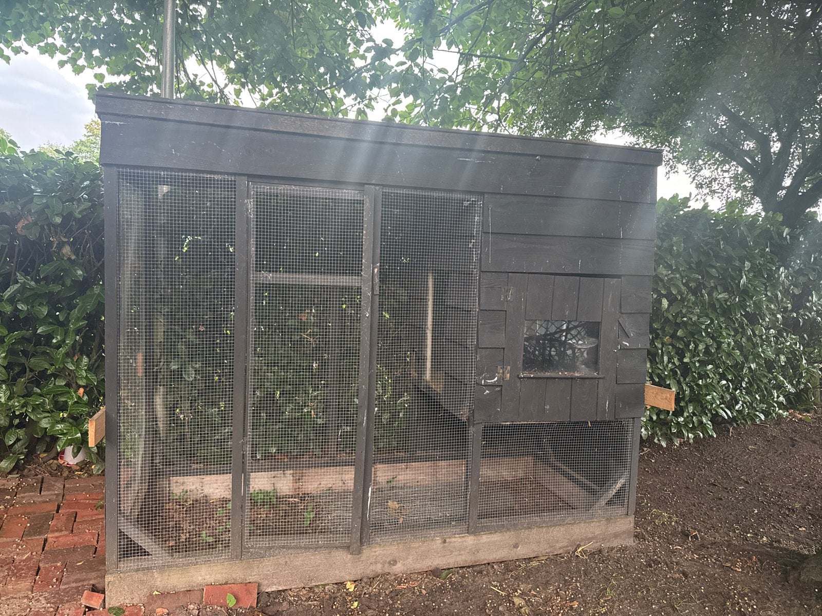 Gratis groot kippenhok., Ophalen, Gebruikt, Hout, Overige typen