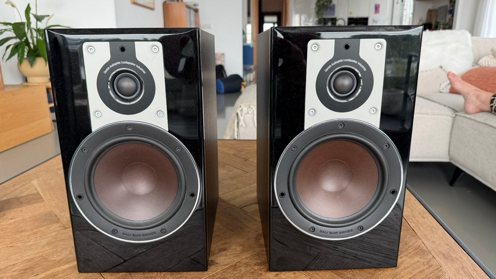 Dali Opticon 2 & stands (gratis erbij), Ophalen, Zo goed als nieuw, Overige merken