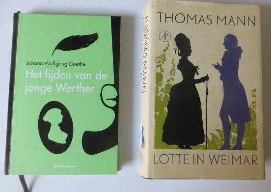 De jonge Werther (Goethe) en de Lotte van Mann, Europa overig, Ophalen of Verzenden, Zo goed als nieuw, Goethe en Mann