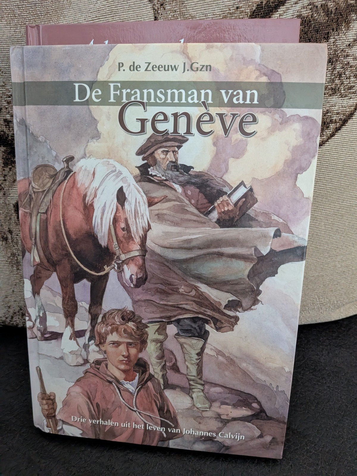 De Fransman van Genève boek, Ophalen of Verzenden, Gelezen