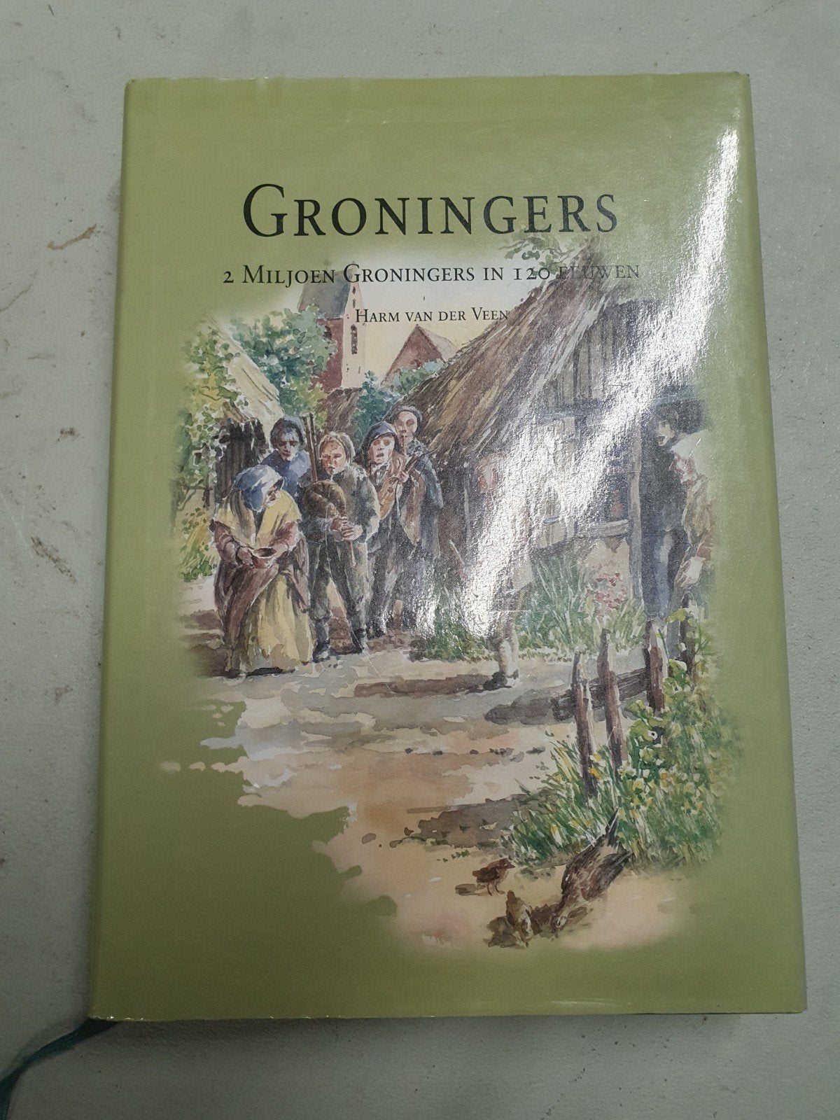 Groningers: 2 Miljoen Groningers in 120 Eeuwen, Boeken, Ophalen of Verzenden, 20e eeuw of later, Gelezen, Harm van der Veen