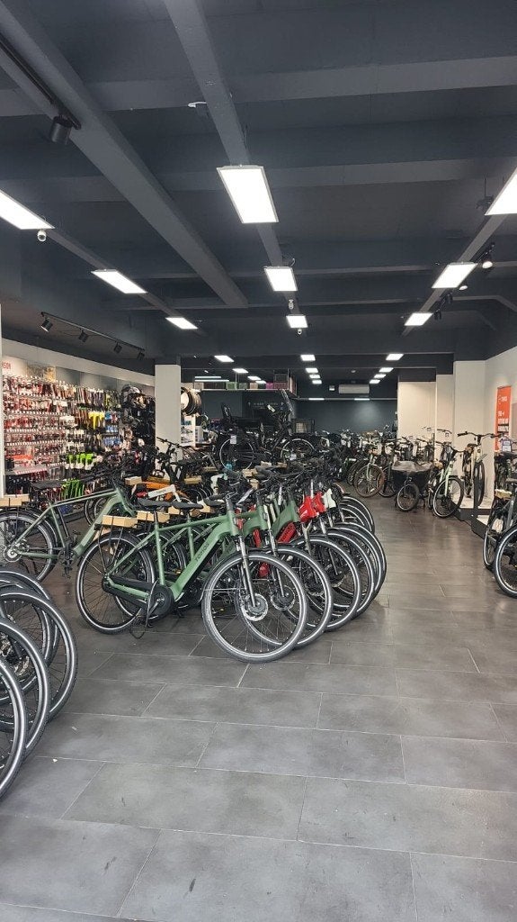 Stadsfietsen | Gebruikt | Grote voorraad |, Ophalen, Budget Bike XL, Info@budgetbike.nl, Nieuw