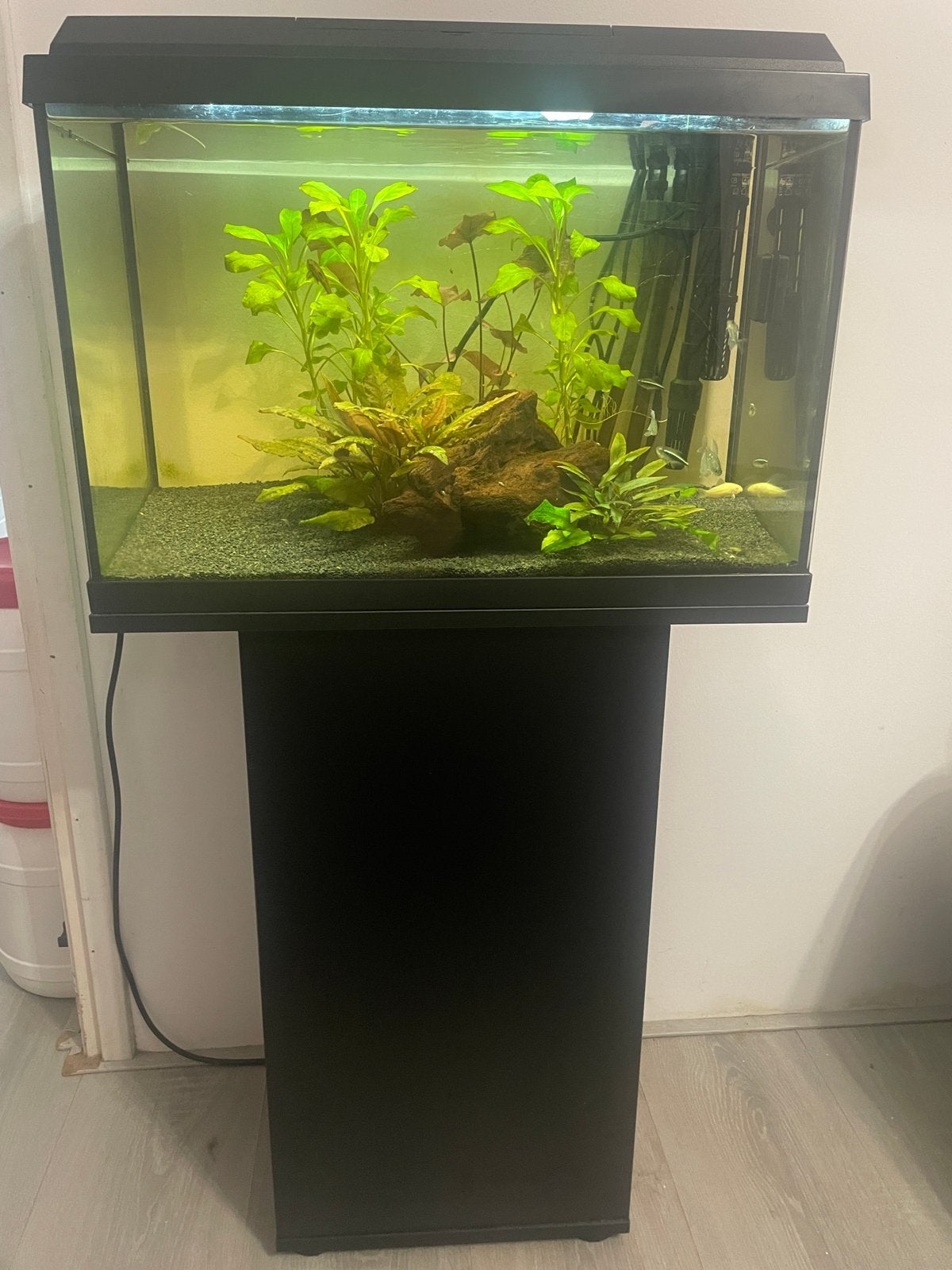 Juwel primo 60 + jbl e402 + day control rbw, Ophalen, Inclusief vissen, Juwel, Gevuld zoetwateraquarium