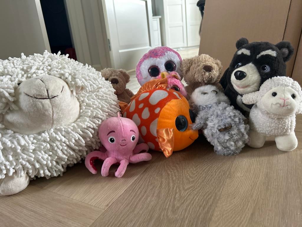 Diverse knuffels: schaap, vis, beer, octopus en meer!, Kinderen en Baby's, Speelgoed | Knuffels en Pluche, Gebruikt, Beer, Middelgroot (20 tot 80 cm)