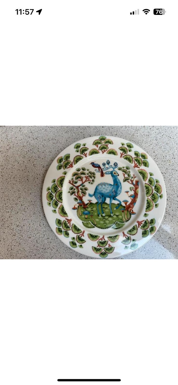Iittala Satumetsä borden, 22 cm, nieuw, per stuk, Huis en Inrichting, Nieuw, Ophalen of Verzenden, Bord(en), Overige stijlen