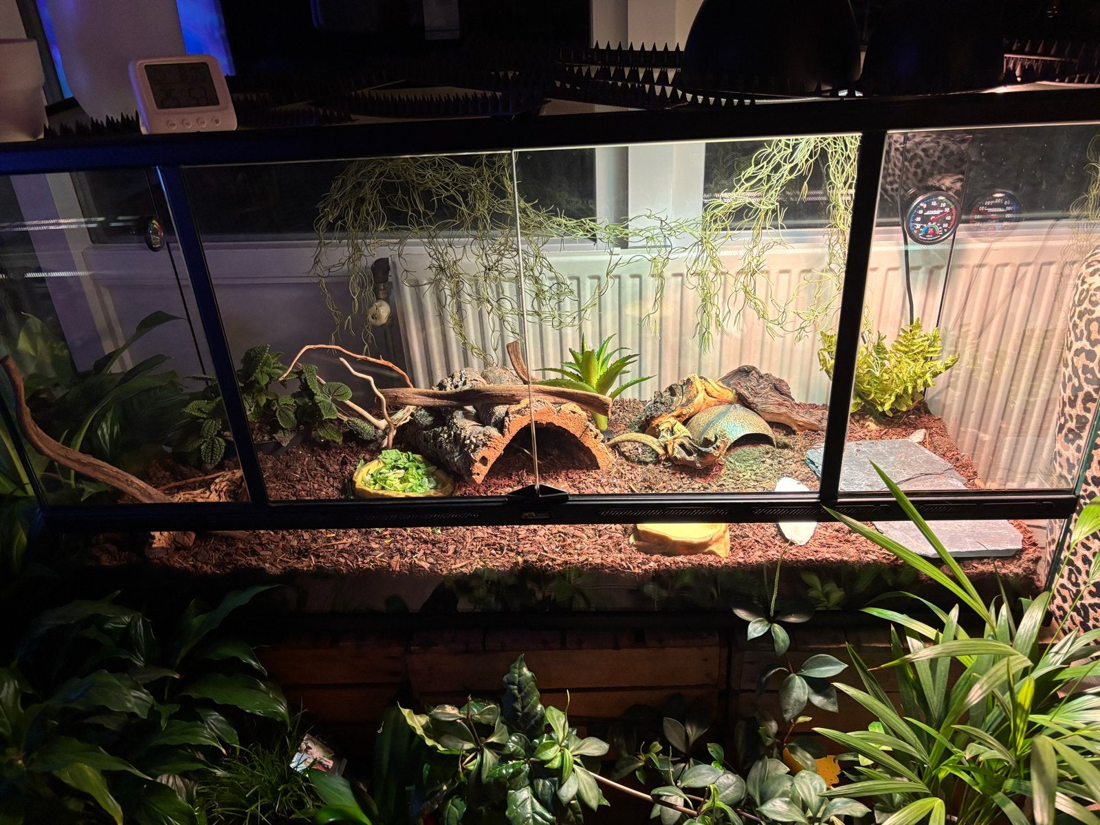 Terrarium 120x45x60, Ophalen, Gebruikt, Terrarium of Paludarium