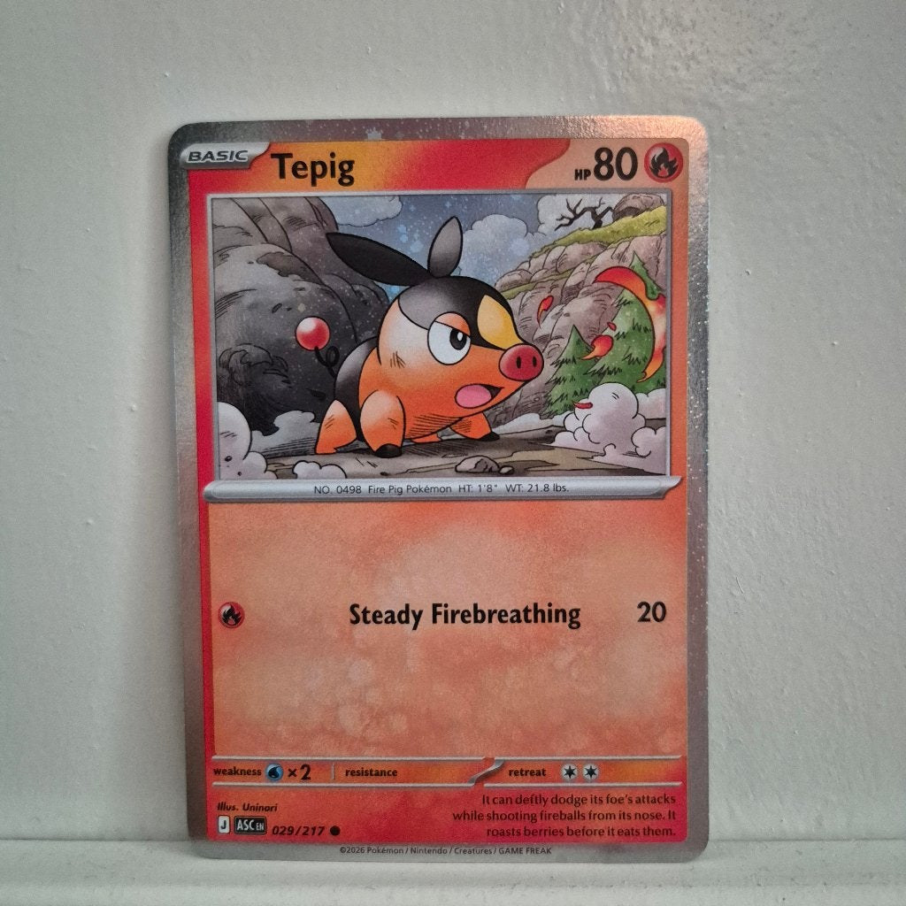 Tepig ASC 029/217 - Pokémon, Ophalen of Verzenden, Nieuw, Losse kaart
