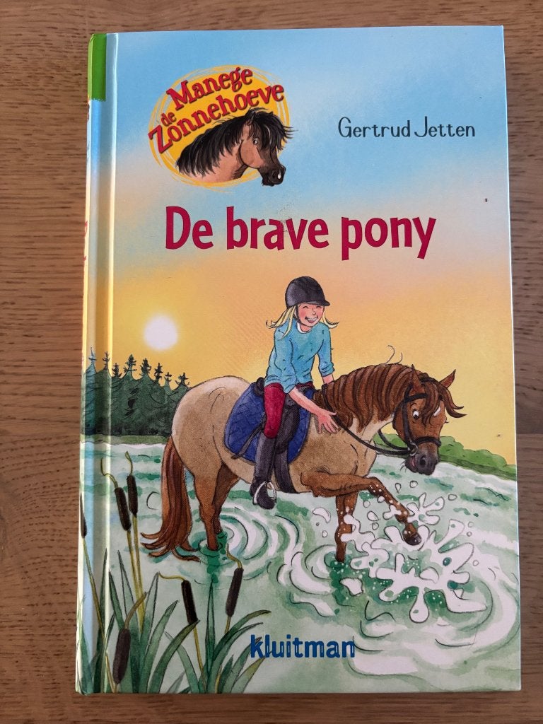 De brave pony, Ophalen of Verzenden, Zo goed als nieuw, Gertrud Jetten, Fictie algemeen