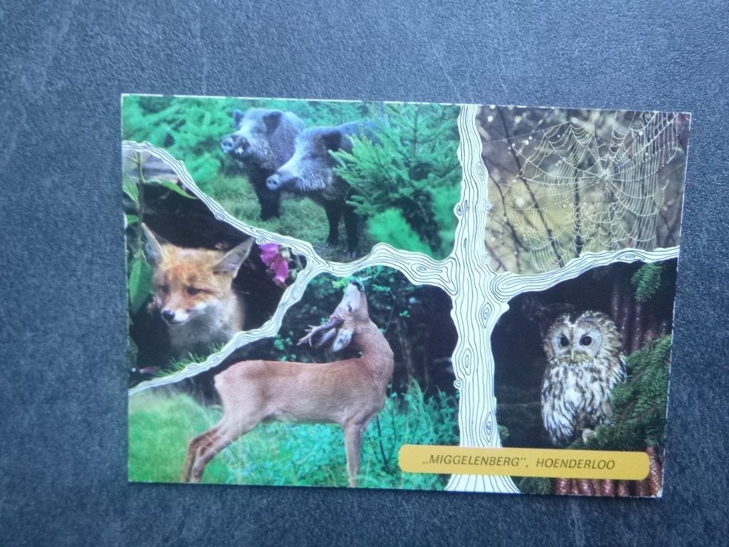 Hoenderloo, Miggelenberg/dieren, Verzenden, 1980 tot heden, Gelopen, Gelderland