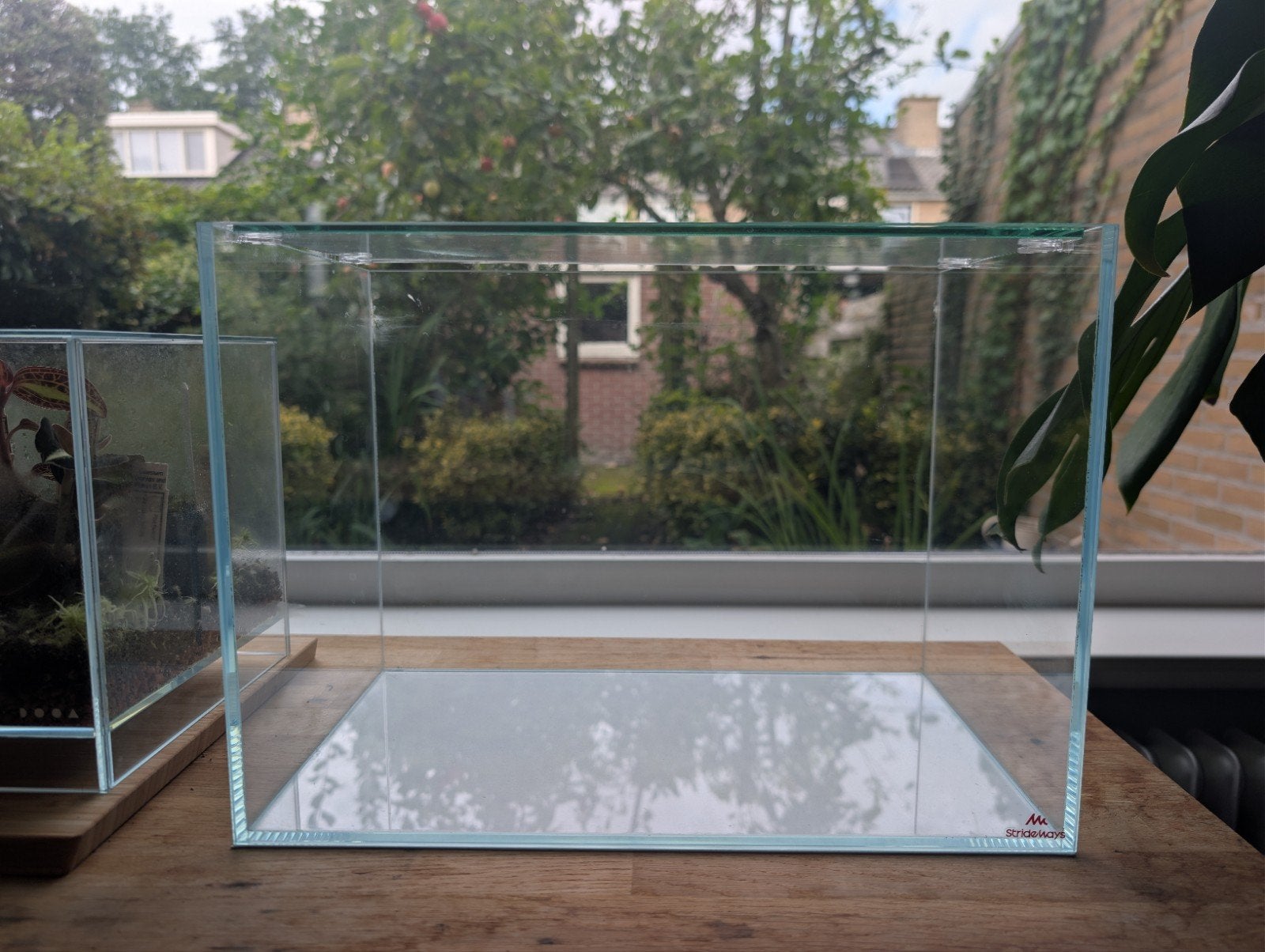 Strideways Sado 36P aquarium kit met Twinstar light LED, Dieren en Toebehoren, Ophalen, Zo goed als nieuw, Leeg aquarium, Overige merken