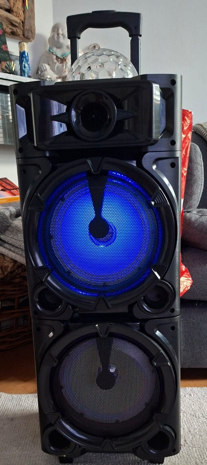 Fenton Live290 Karaokestation met microfoons en lichteffect, Ophalen, Zo goed als nieuw, Complete set
