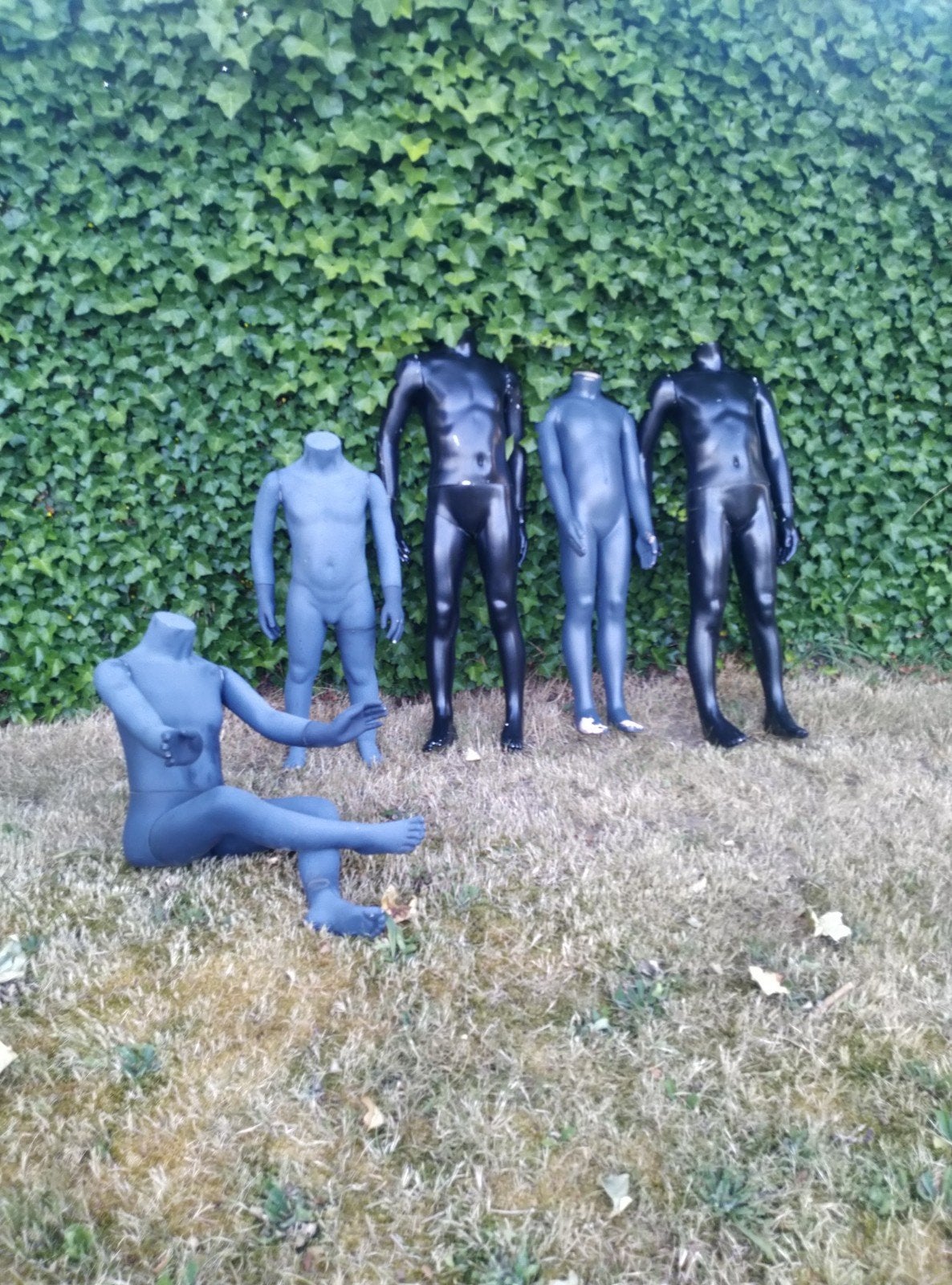 5 paspoppen kinderen igst, Ophalen