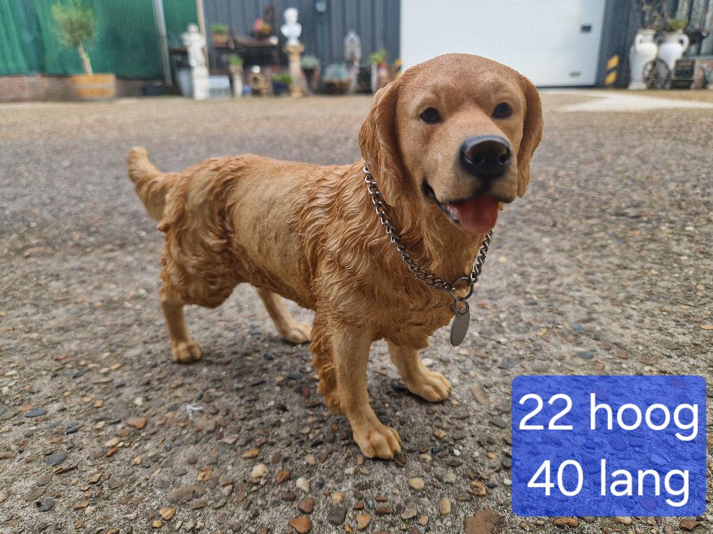 golden retriever beeld levensecht, Verzamelen, Beelden en Beeldjes, Ophalen of Verzenden, Nieuw, Dier