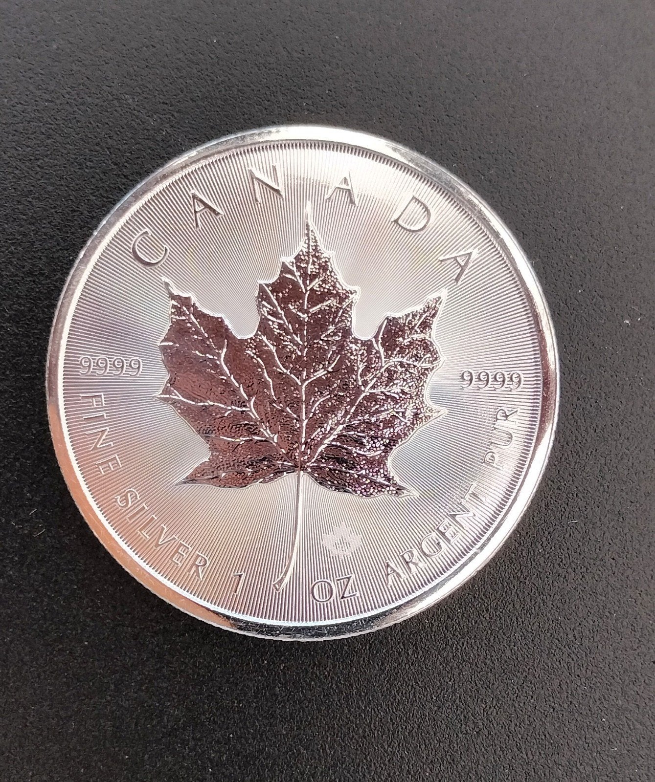 Maple Leaf  2026  -1 oz. - 25 stuks in Tube, Ophalen of Verzenden, Overige landen, Zilver
