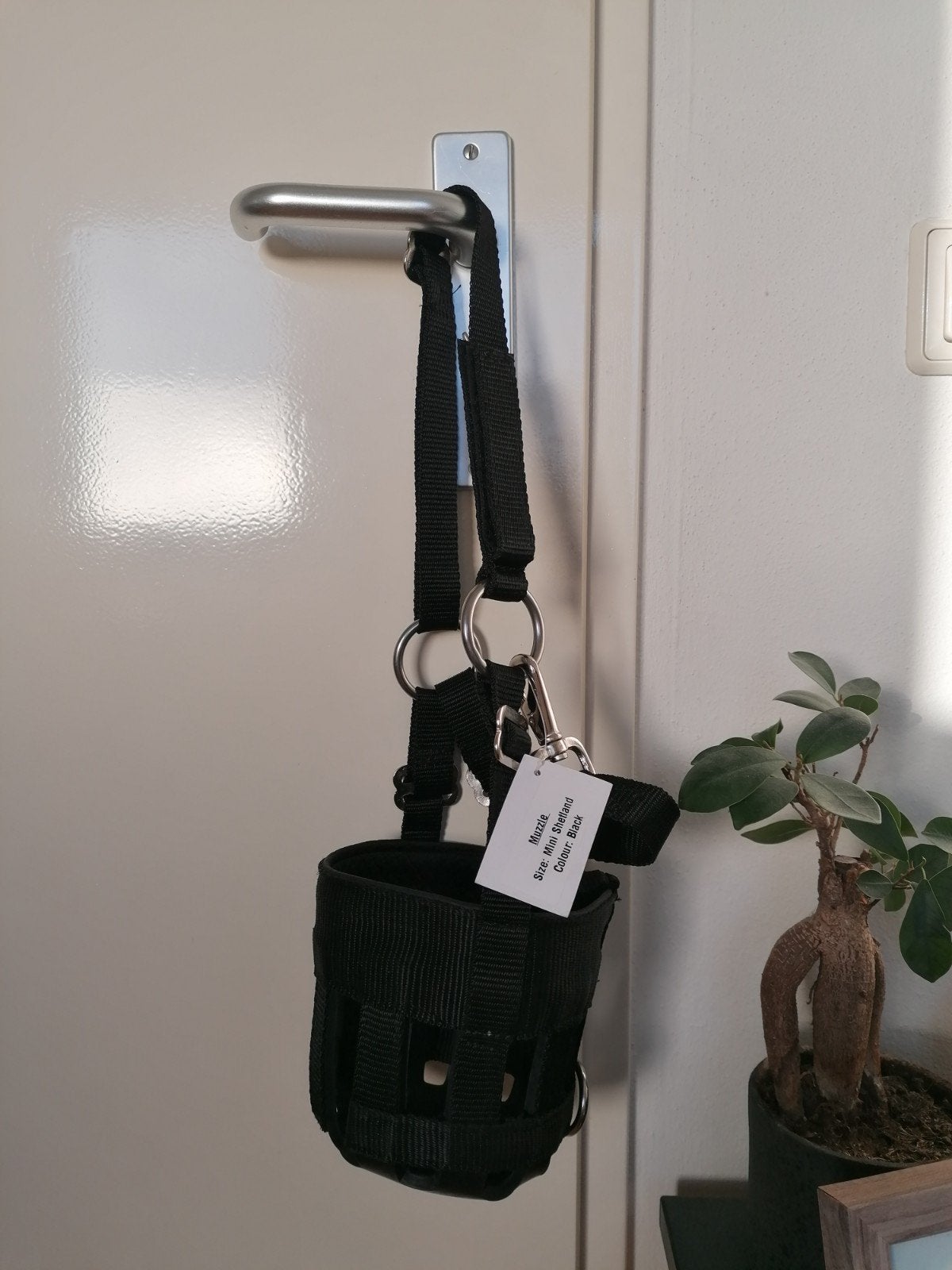 Nieuw graasmasker - graaskorf Mini Shetlander XS, Ophalen of Verzenden, Nieuw, Overige disciplines