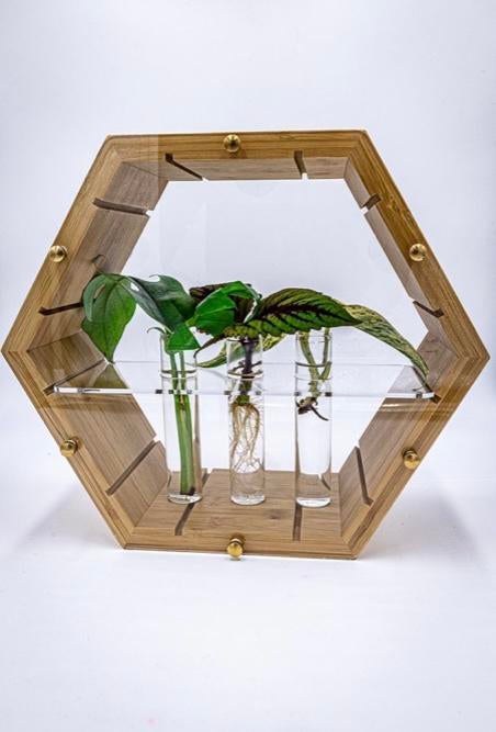 Nieuwe decoratie kweek glasbuisjes met kurk dop, Tuin en Terras, Bloembakken en Plantenbakken, Ophalen of Verzenden, Nieuw
