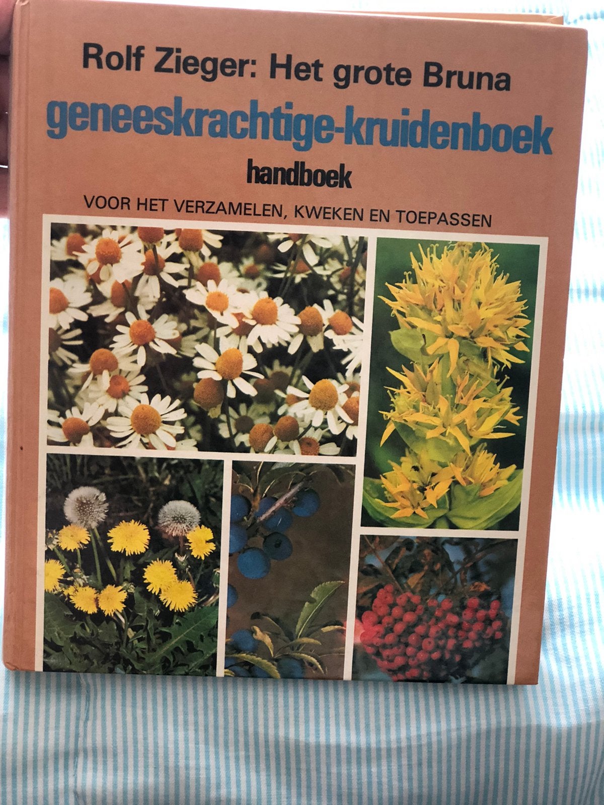 Het genees krachtige kruiden boek, Boeken, Ophalen of Verzenden, Zo goed als nieuw, Bloemen, Planten en Bomen