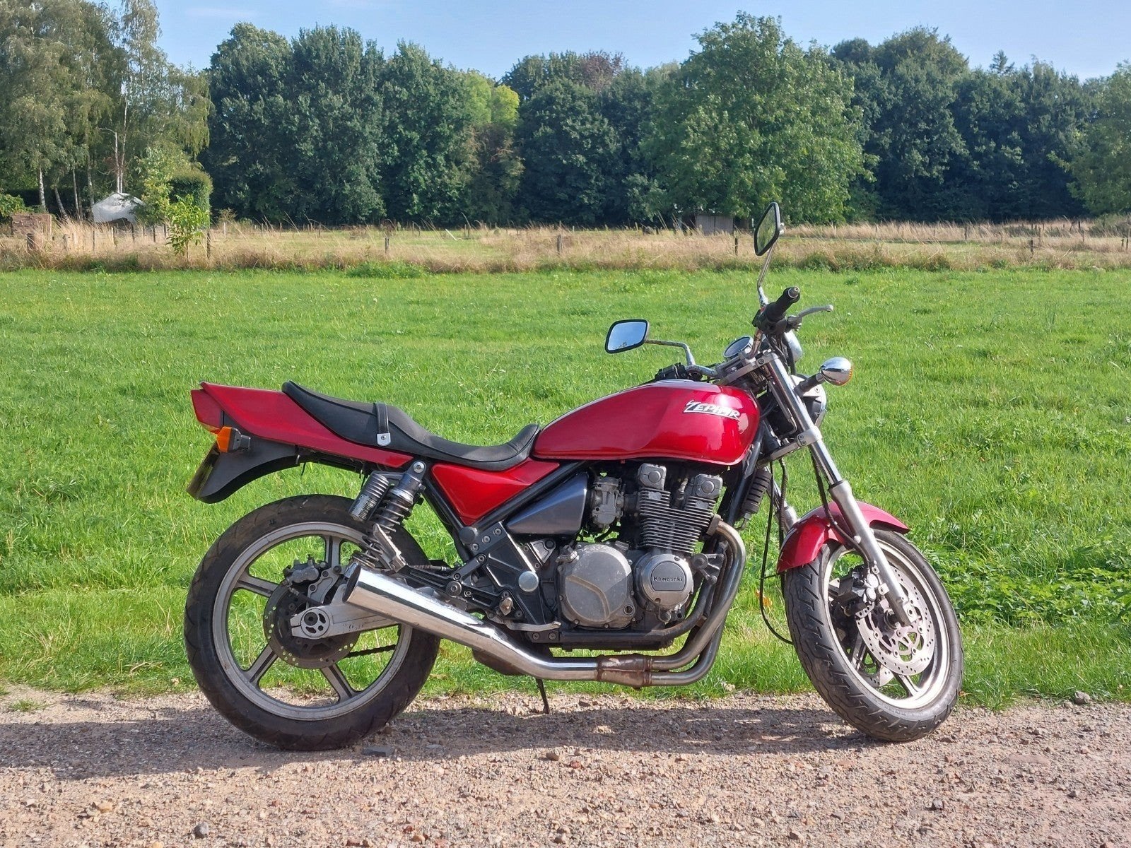 Kawasaki Zephyr 550, Motoren, Ophalen