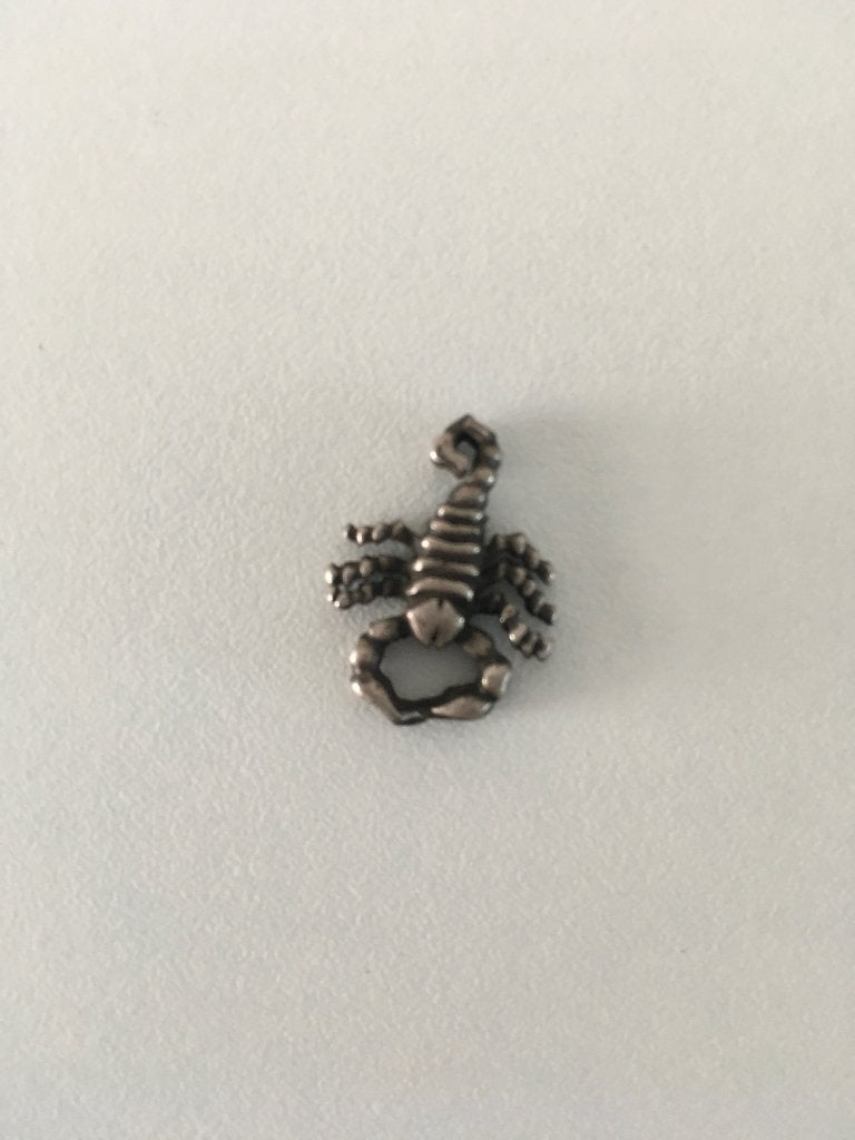Kettinghanger schorpioen, Ophalen of Verzenden, Zo goed als nieuw, Zilver, Dier